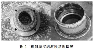 图1 机封摩擦副腐蚀结垢情况 图1 机封摩擦副腐蚀结垢情况