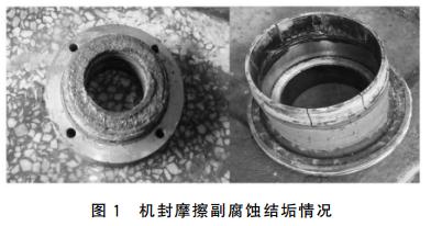 图1 机封摩擦副腐蚀结垢情况