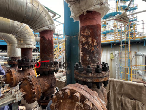 炼油装置高温系统密封：OTHELLO(奥赛罗)预紧碟簧的零泄漏实践